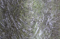 Carlton Green fibreglass roof work